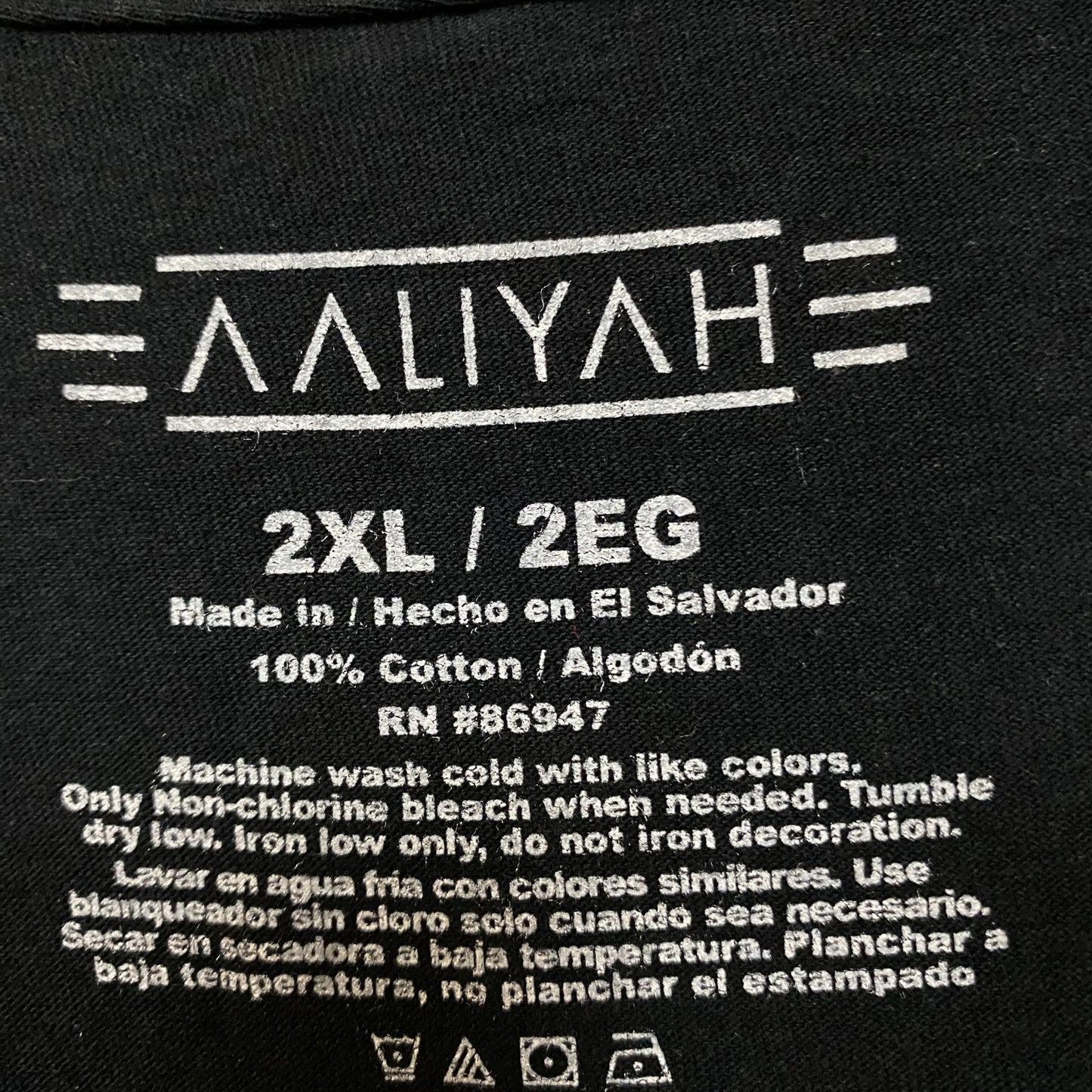 Aaliyah Airbrush Queen of Urban Pop Self-titled Album Tee 2X