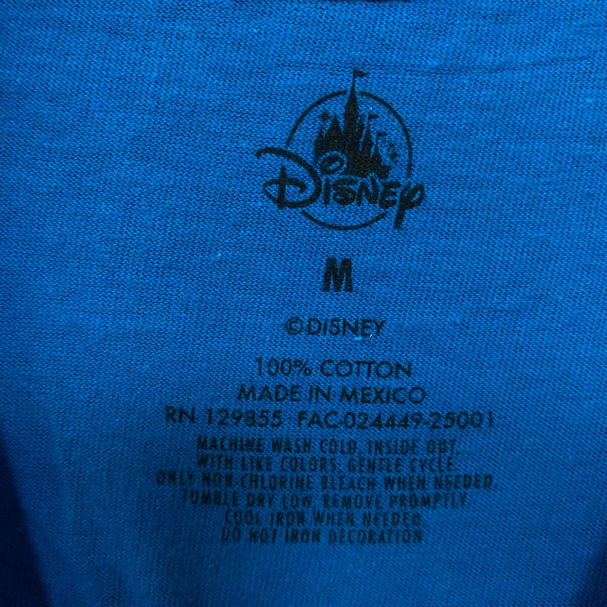 Disneyland After Dark: 90s Nite 2025 Graphic T-Shirt Medium