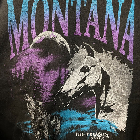 Junk Food Montana Treasure State Graphic Hoodie Sweatshirt XL