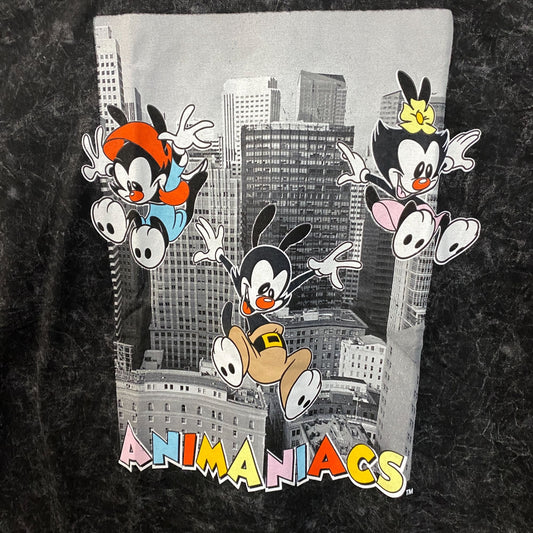 Animaniacs Cartoon City Graphic Mineral Wash T-Shirt XL