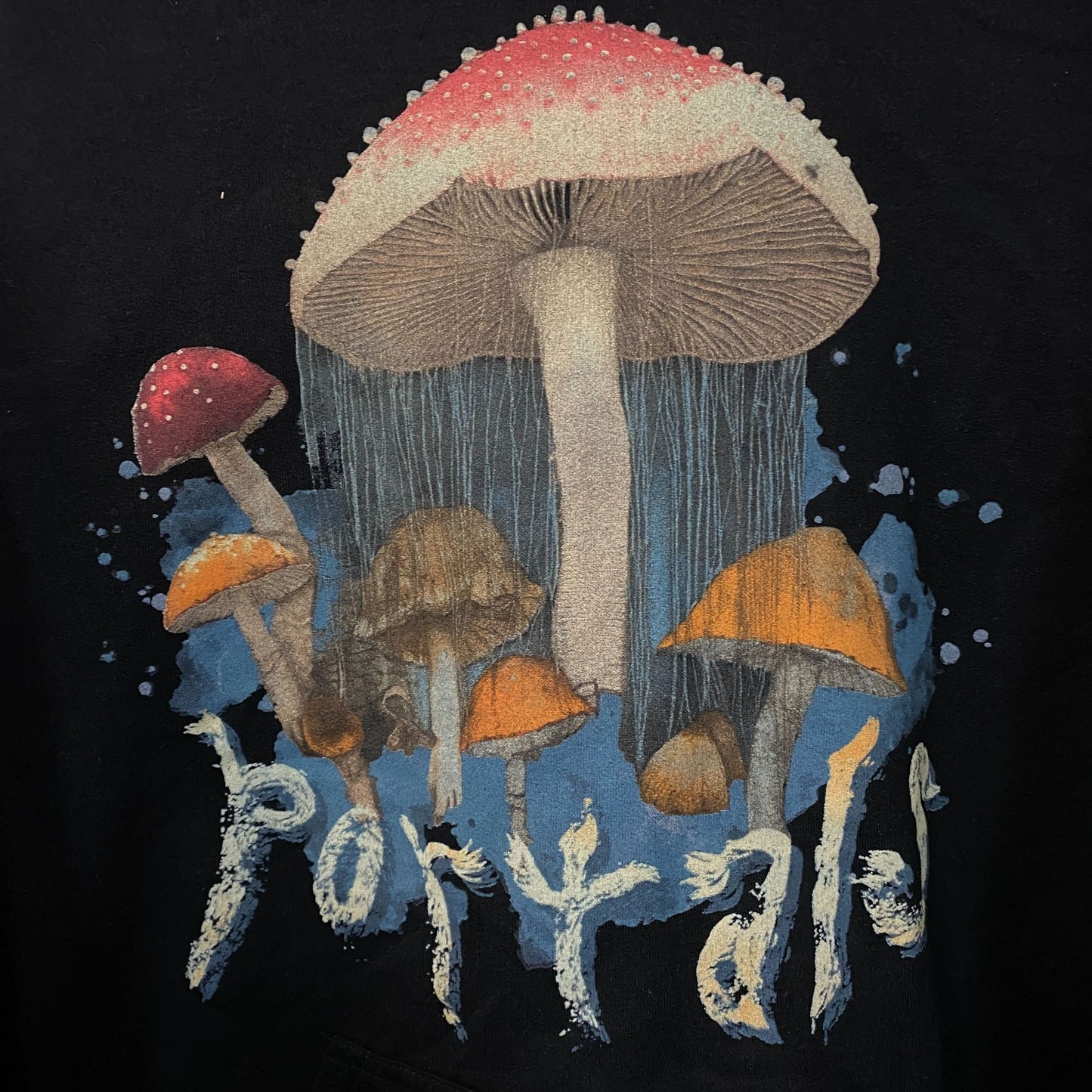 Melanie Martinez Portals Mushroom Hoodie size Medium