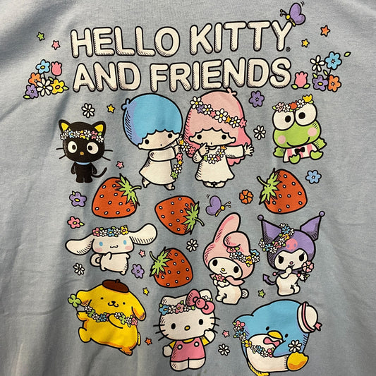 Sanrio Hello Kitty and Friends All Characters Kawaii T-Shirt XL
