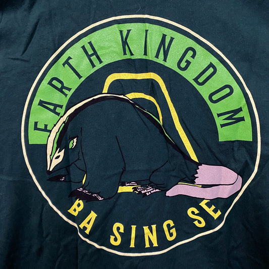 Avatar Earth Kingdom Tshirt size medium