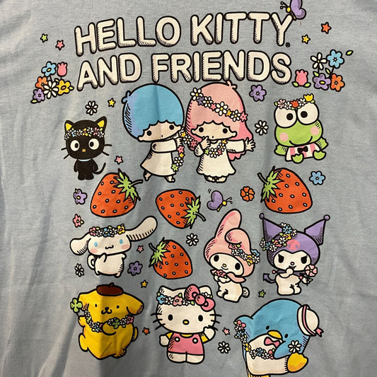 Sanrio Hello Kitty and Friends All Characters Kawaii T-Shirt Medium