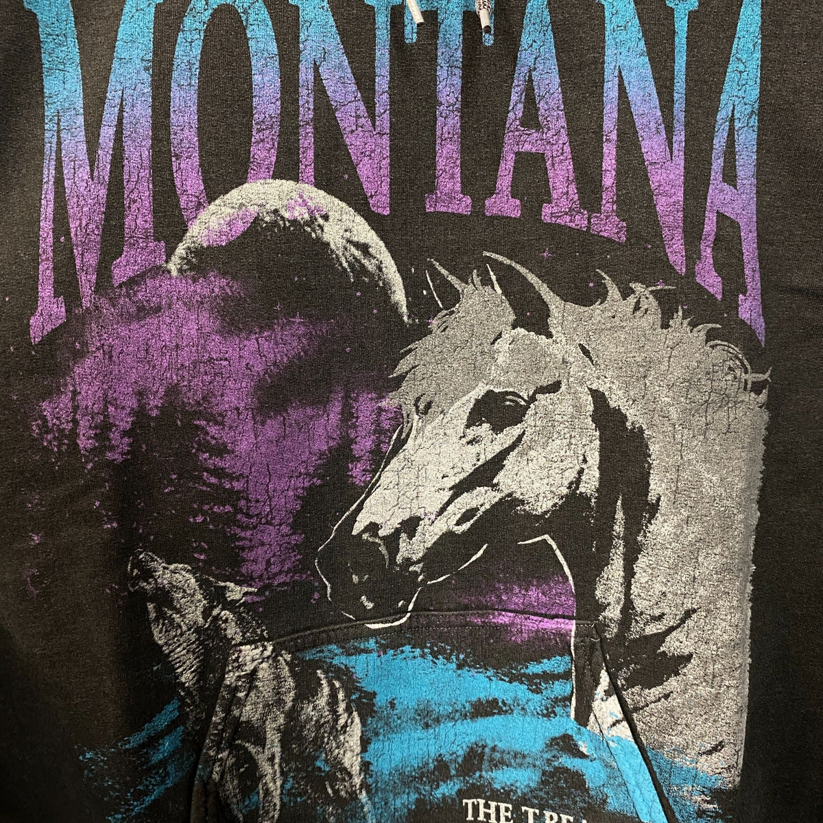 Junk Food Montana Treasure State Graphic Hoodie Sweatshirt Small
