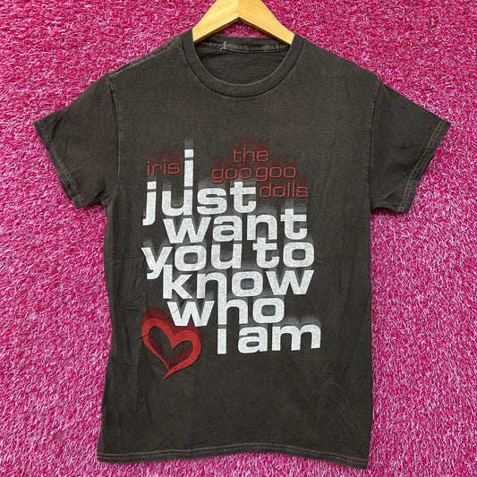 Iris Lyrics the Googoo Dolls I just Want You to Know Who I Am T-Shirt Size Small