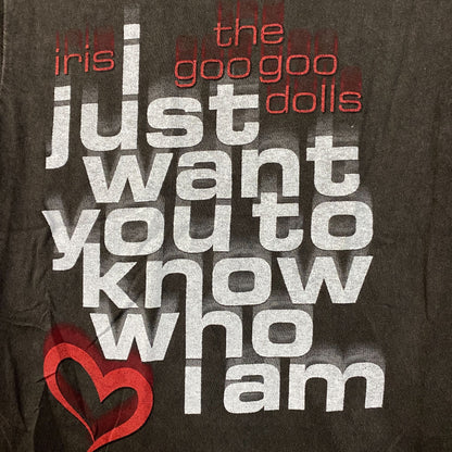 Iris Lyrics the Googoo Dolls I just Want You to Know Who I Am T-Shirt Size Small