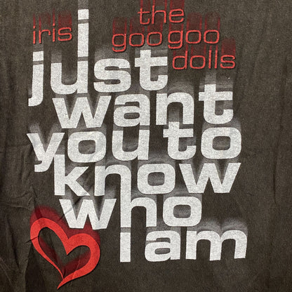 Iris Lyrics the Googoo Dolls I just Want You to Know Who I Am T-Shirt Size Small