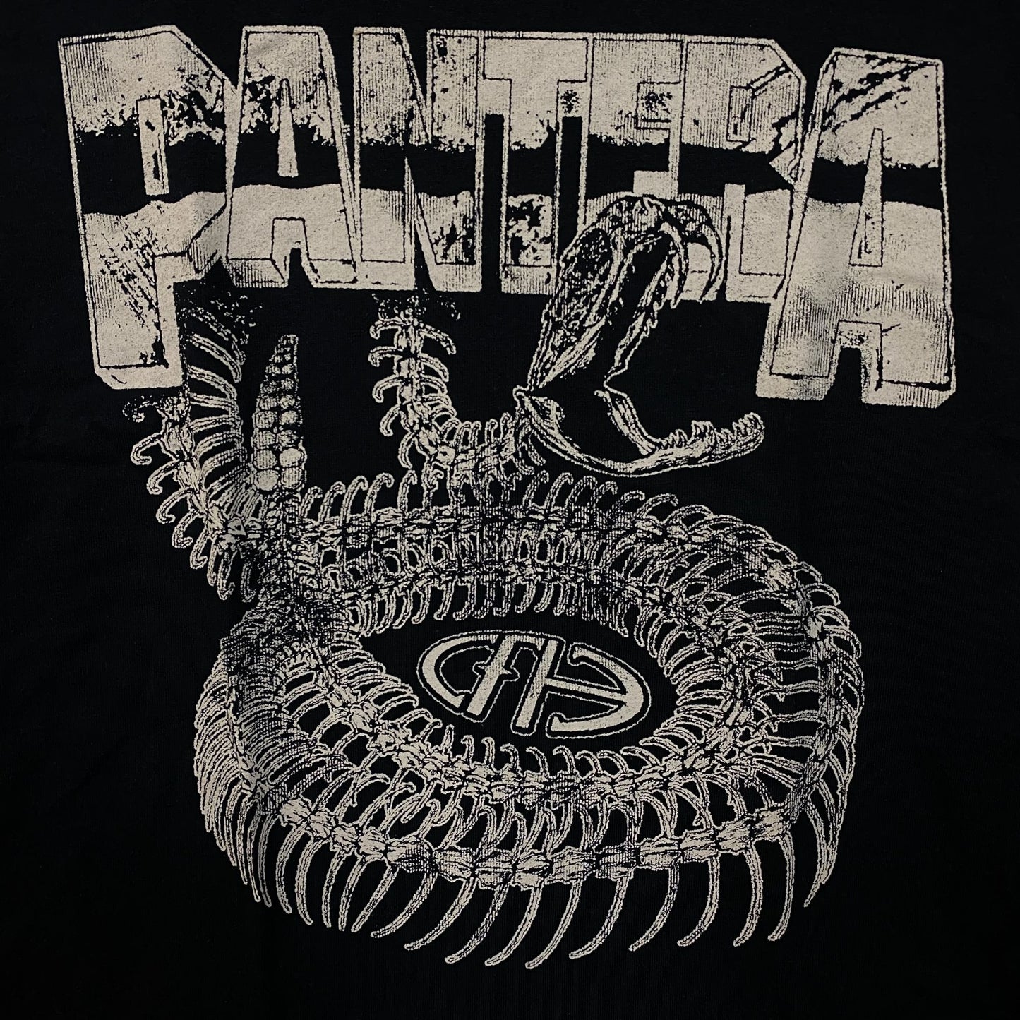 Pantera Cowboys From Hell Snake Skeleton Graphic T-Shirt Small