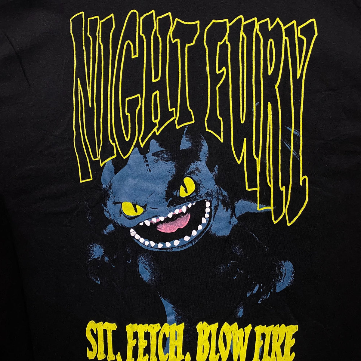 Dreamworks Dragons Toothless Sit Fetch Blow Fire Graphic T-shirt XL
