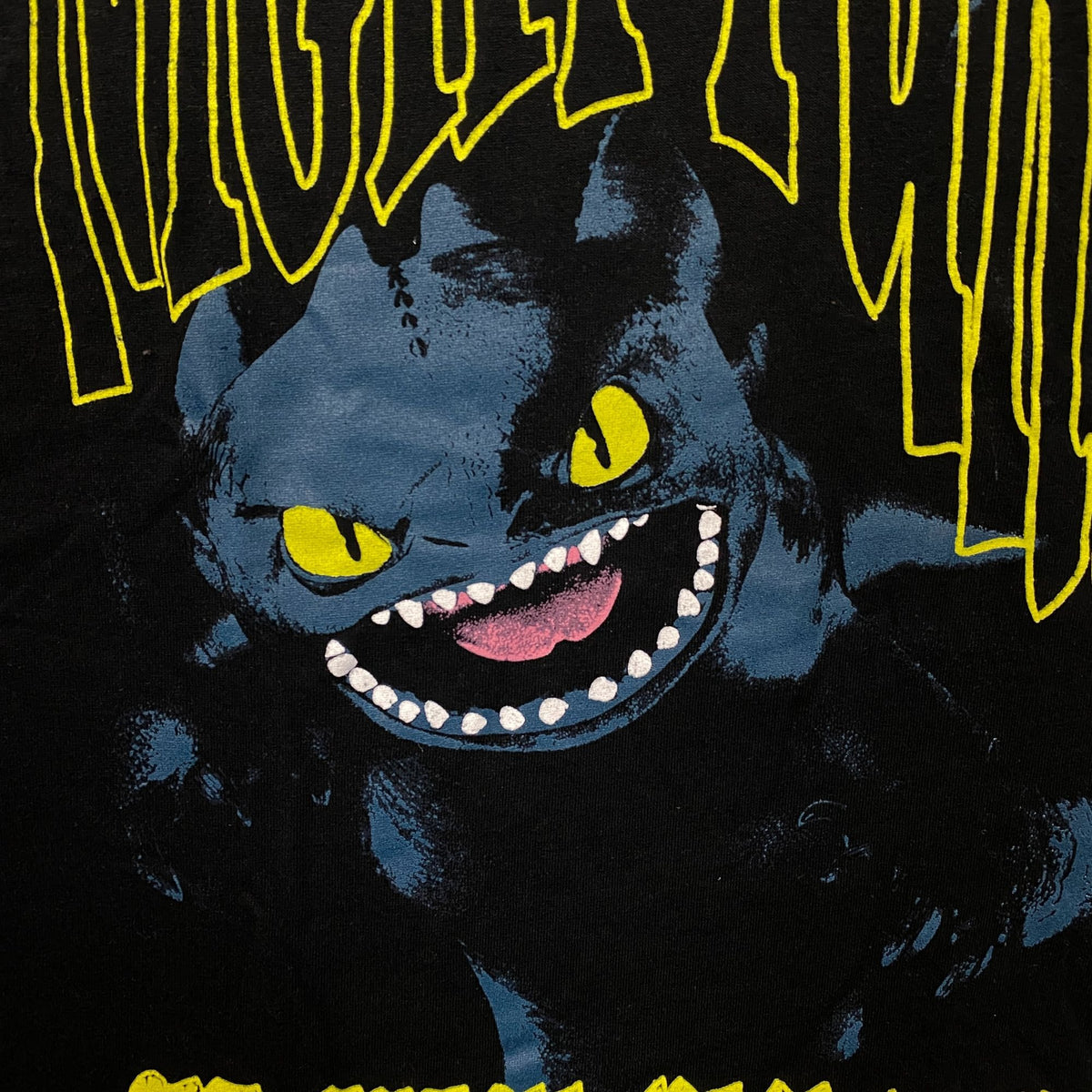 Dreamworks Dragons Toothless Sit Fetch Blow Fire Graphic T-shirt XL