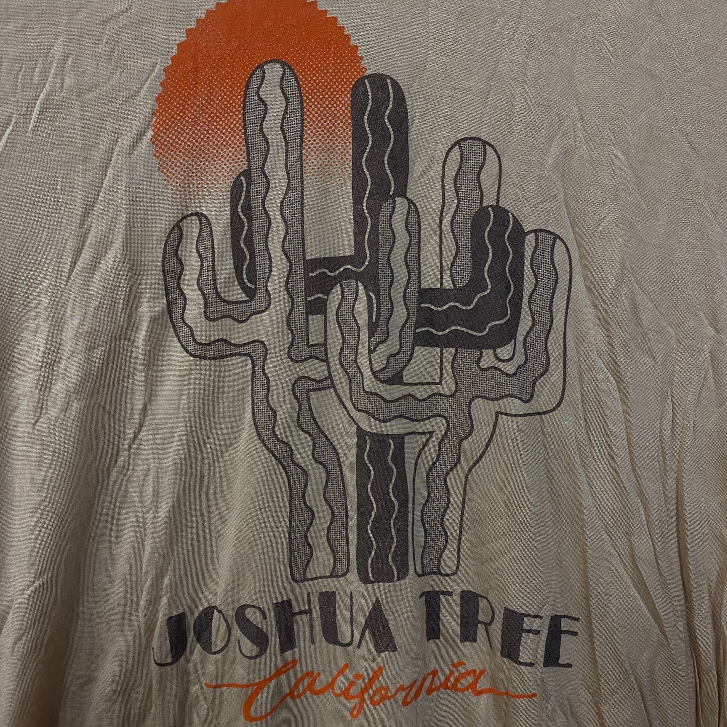 Junk Food Clothing Joshua Tree California Graphic Women's Tissue Tee XS
