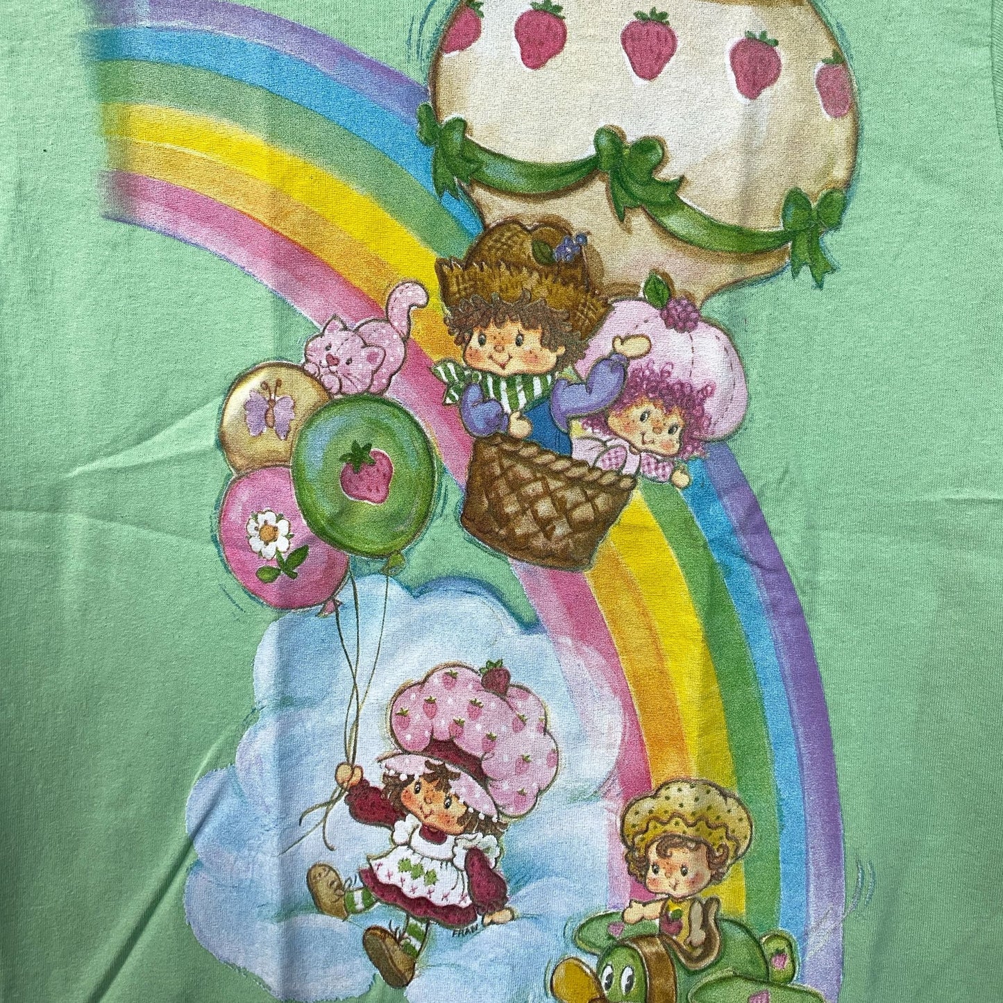 Strawberry Shortcake and Friends Rainbow T-Shirt Small