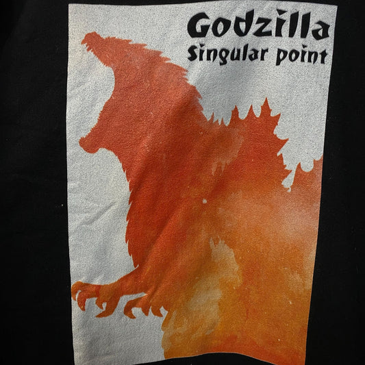 Godzilla Singular Point King Of Monsters Hoodie 2XL