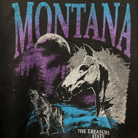 Junk Food Montana Treasure State Graphic Hoodie Sweatshirt Medium