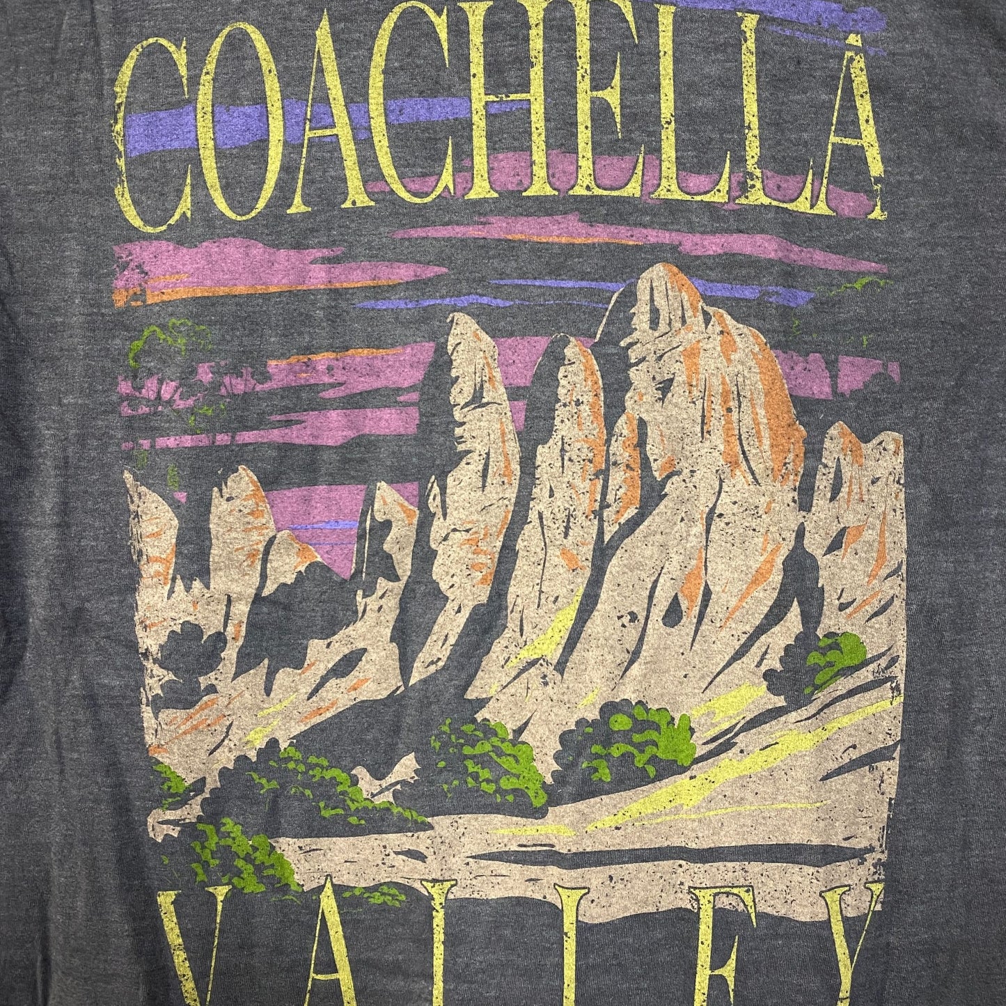 Coachella Valley Vintage-Style Graphic Design T-Shirt Medium