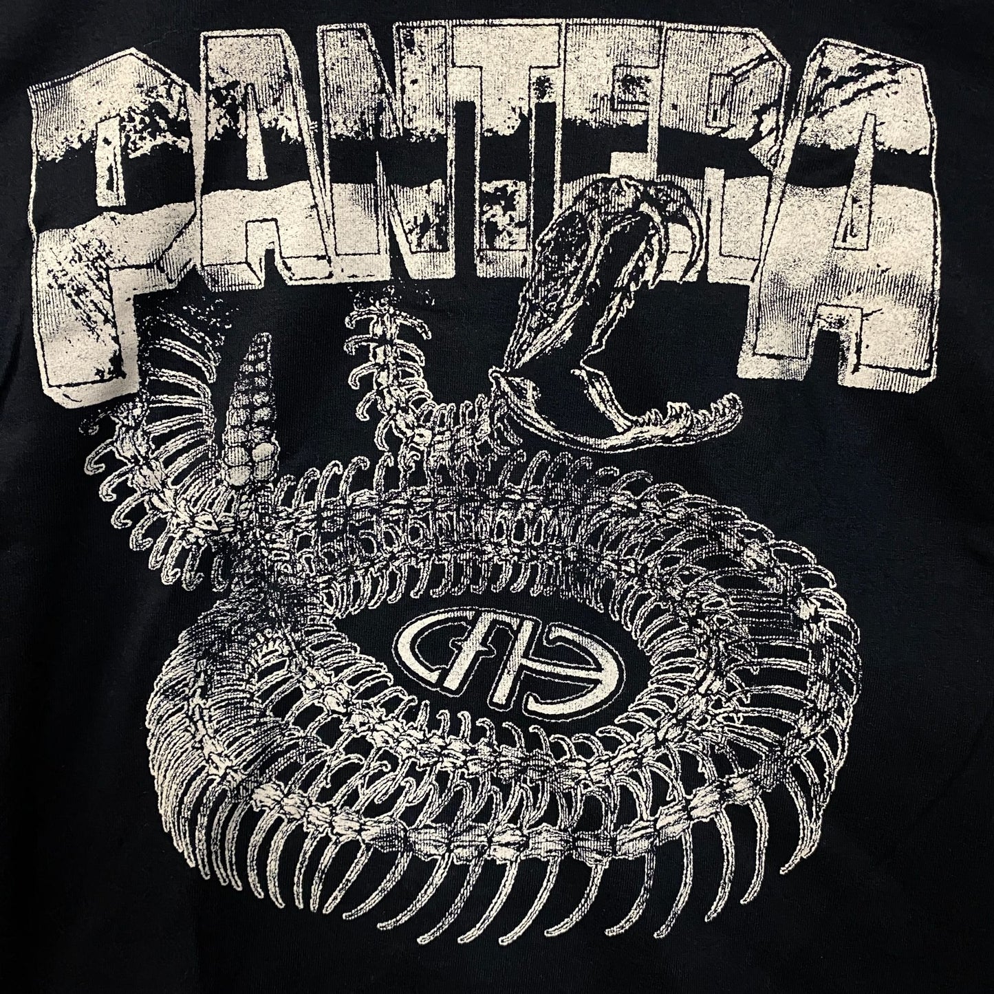 Pantera Cowboys From Hell Snake Skeleton Graphic T-Shirt XS