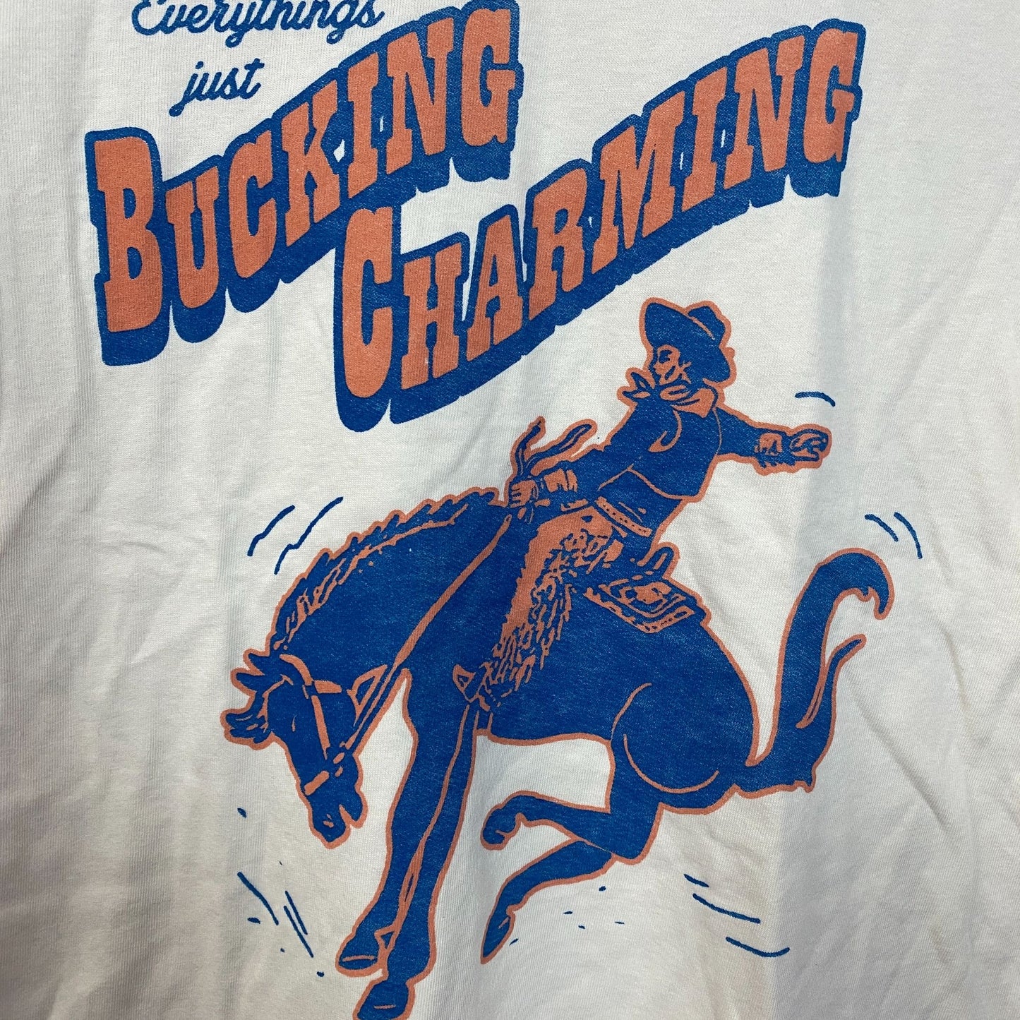 Junk Food Clothing Bucking Charming Vintage Style T-Shirt Small
