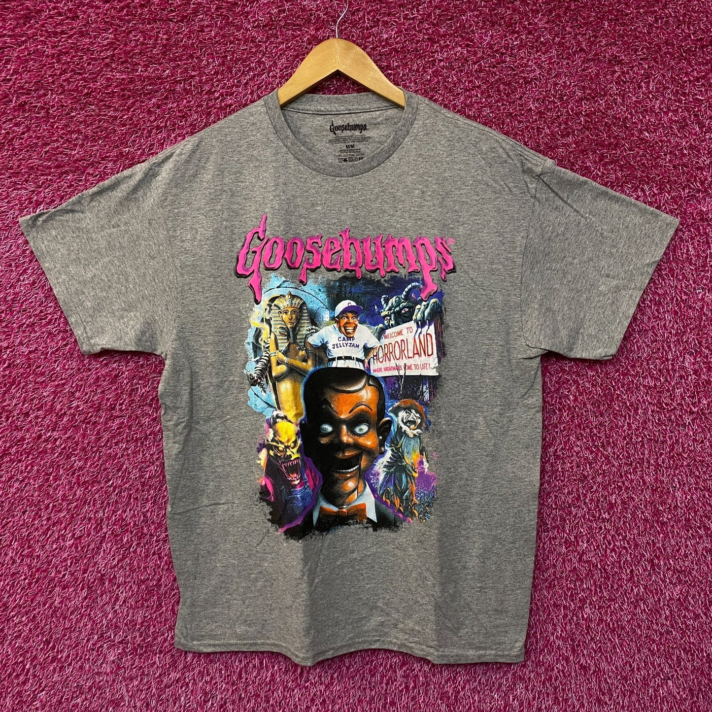 Goosebumps gray Tshirt size medium