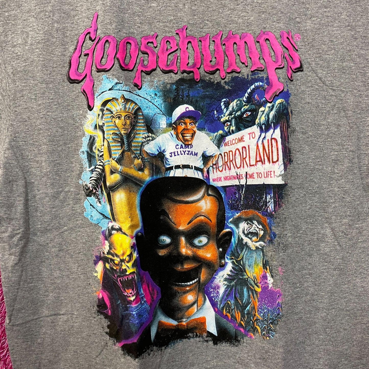 Goosebumps gray Tshirt size medium