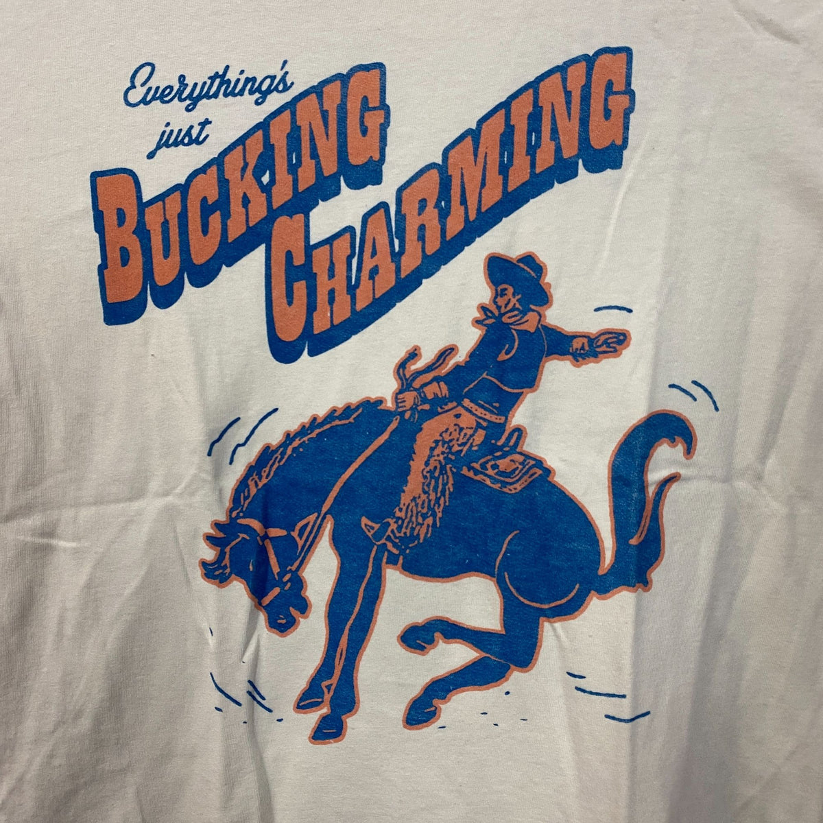Junk Food Clothing Bucking Charming Vintage Style T-Shirt Medium