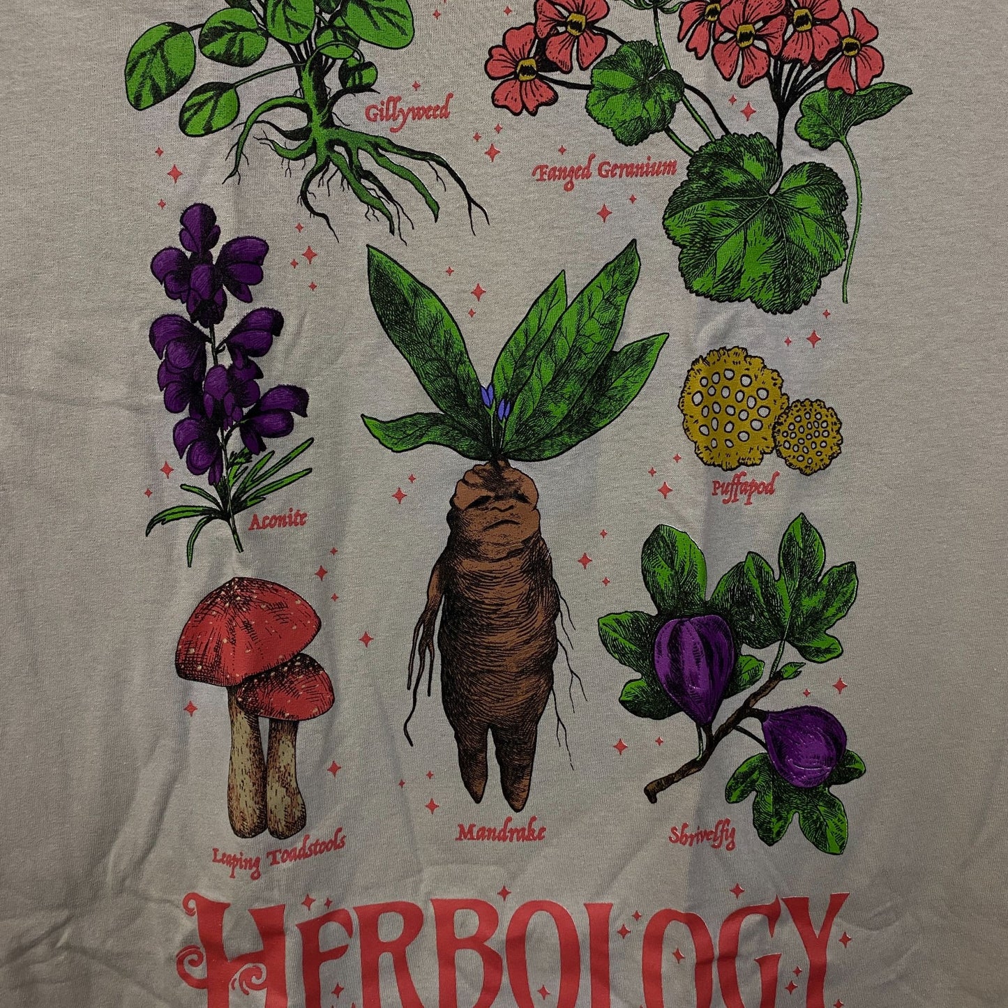 Harry Potter Hogwarts Herbology Graphic T-Shirt Small