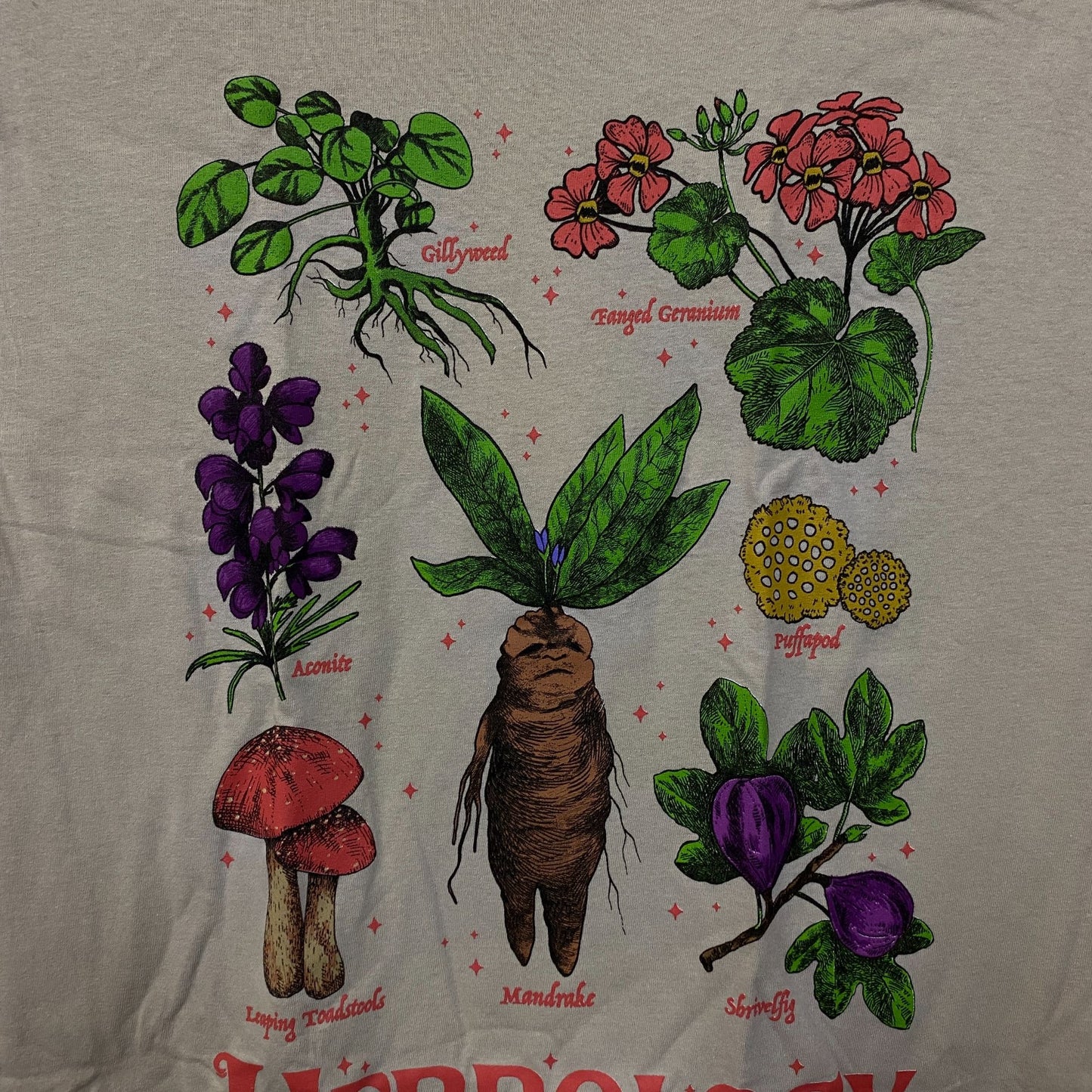 Harry Potter Hogwarts Herbology Graphic T-Shirt Small