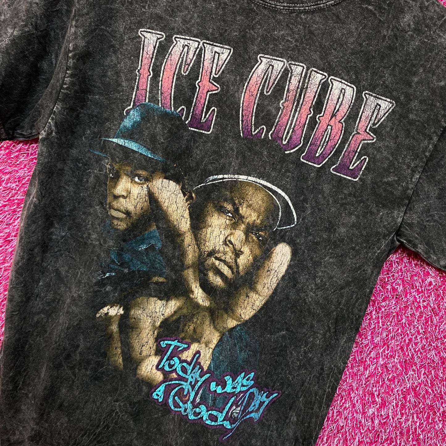 Ice Cube Today Was a Good Day Mineral Wash Tshirt Size Med
