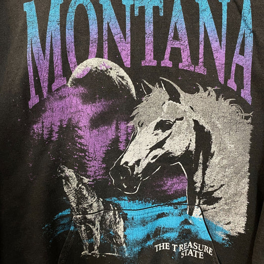 Junk Food Montana Treasure State Graphic Hoodie Sweatshirt Medium