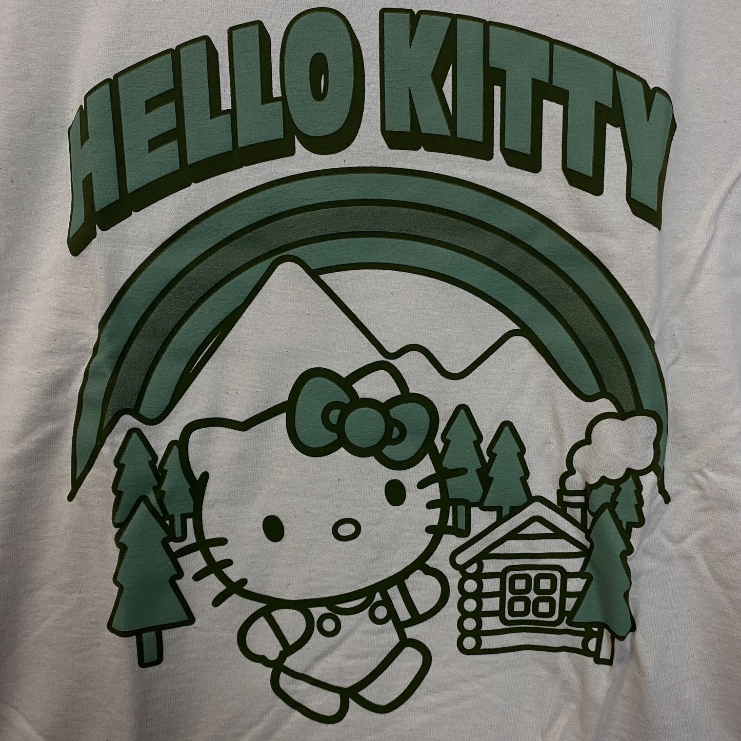 Sanrio Hello Kitty Outdoors Cute Graphic T-Shirt 2XL