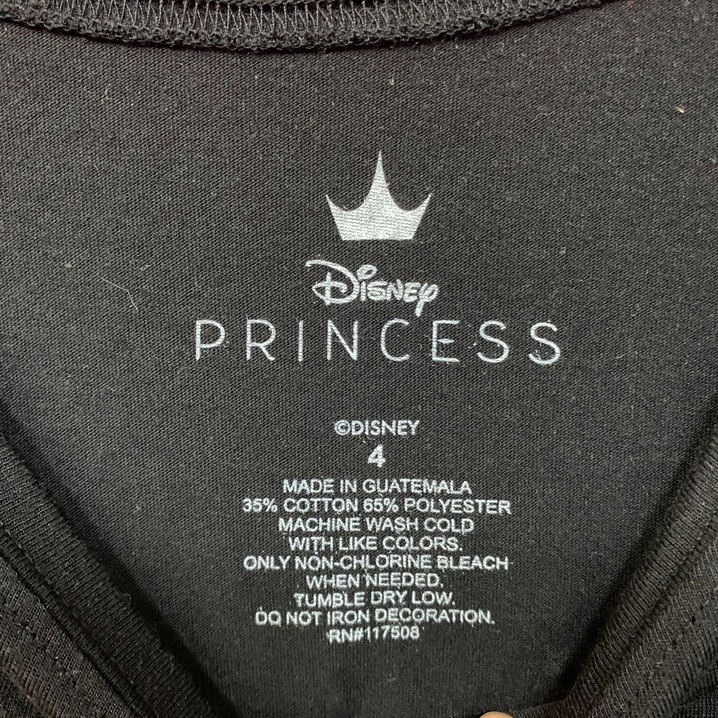 Disney Movie The Princess and the Frog Tiana Portrait T-Shirt 4XL