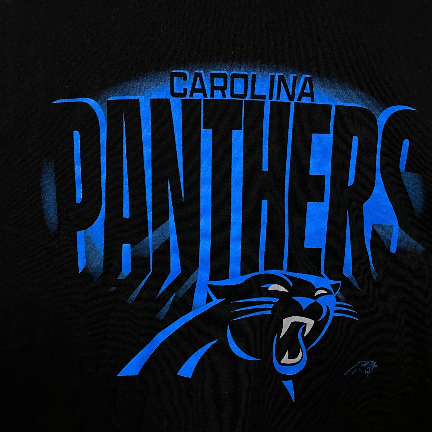 FOCO NFL Carolina Panthers Team Logo Graphic T-Shirt Large
