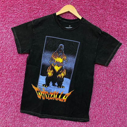 Godzilla vs. Destoroyah Flames Graphic T-Shirt Medium