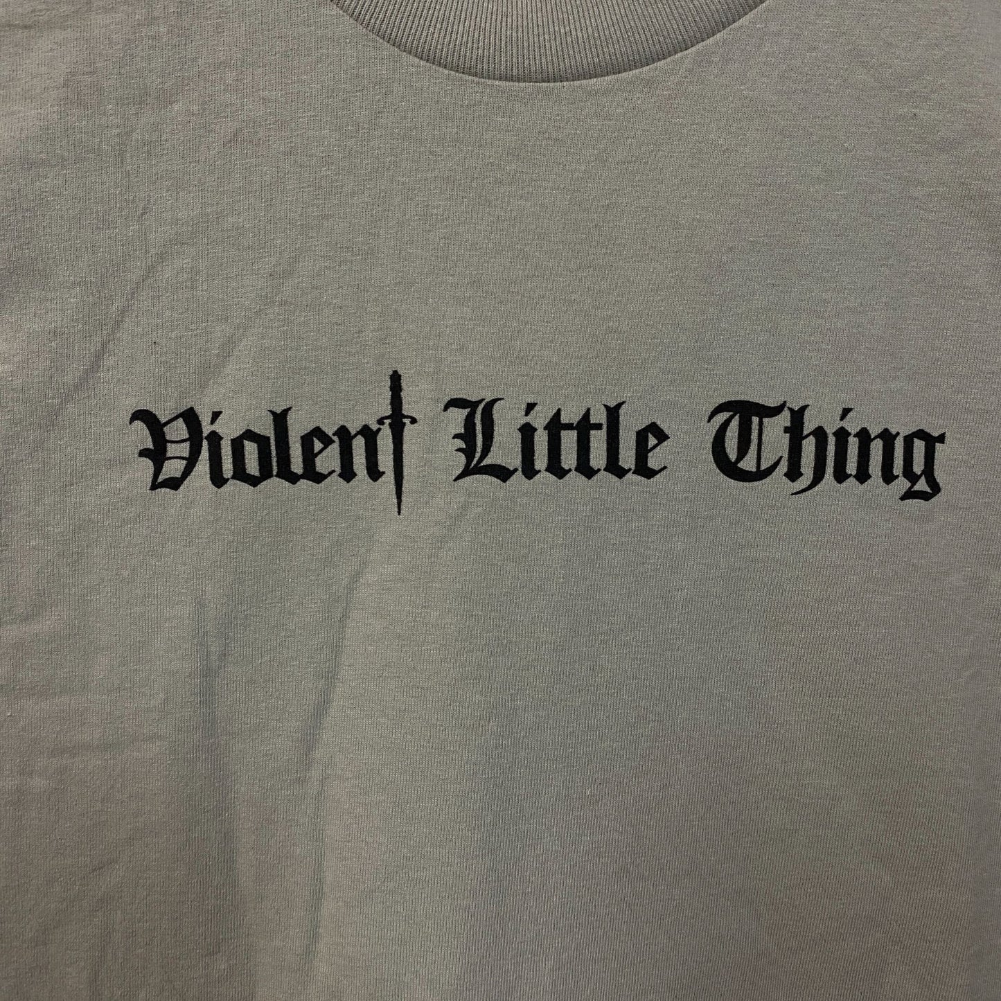 The Empyrean Fourth Wing Violent Little Thing Graphic T-Shirt XS
