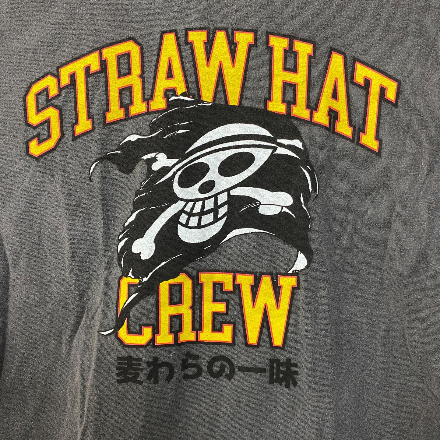 One Piece Straw Hat Crew Jolly Roger Logo Anime T-Shirt Small