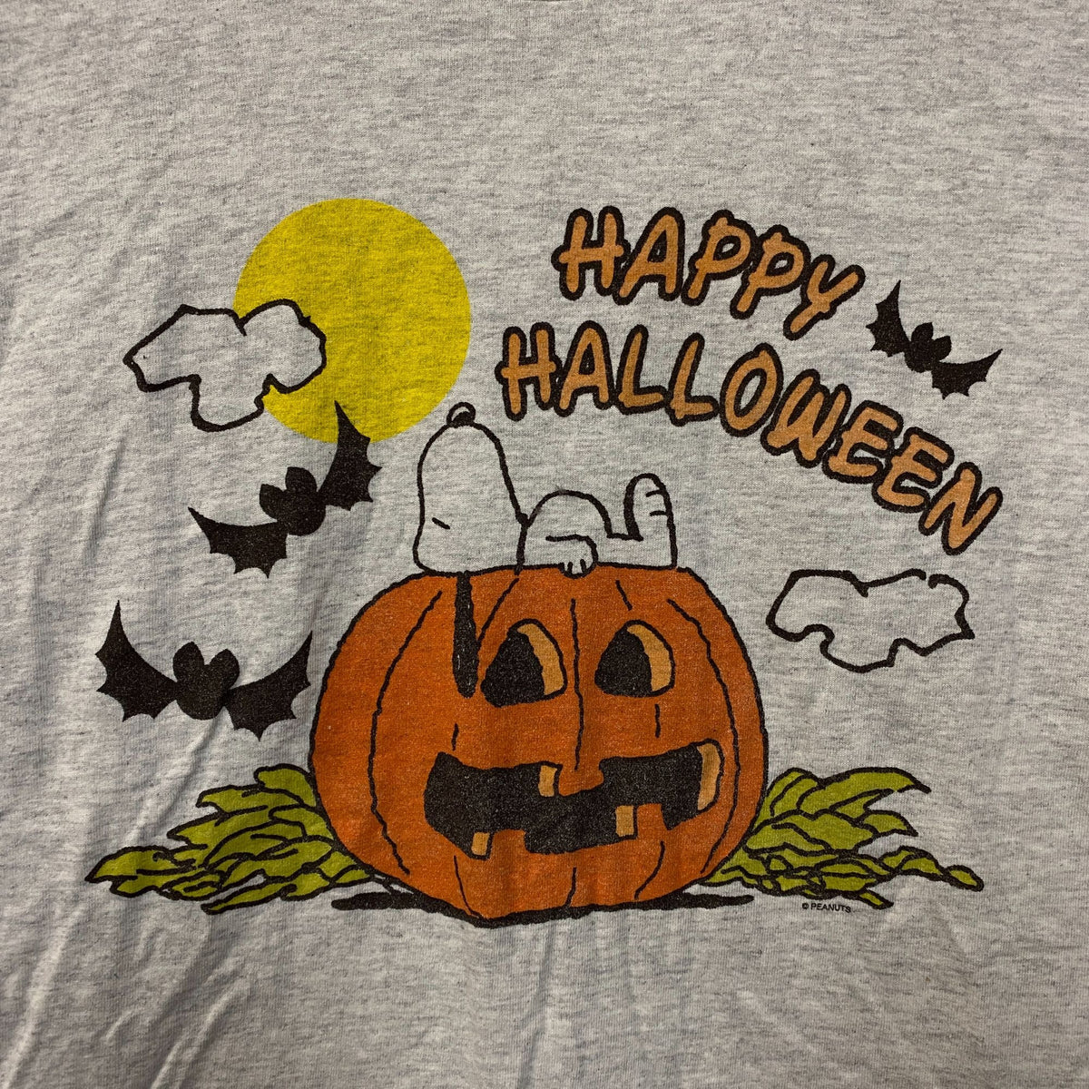 Junk Food Clothing Peanuts Snoopy Halloween Tshirt size Medium