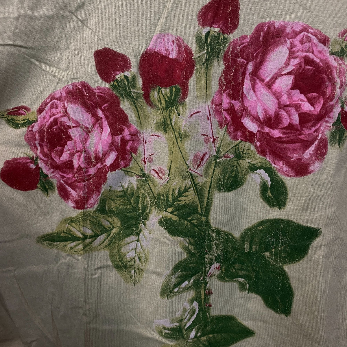 Pretty Rebel Rose Graphic Crop Top XS