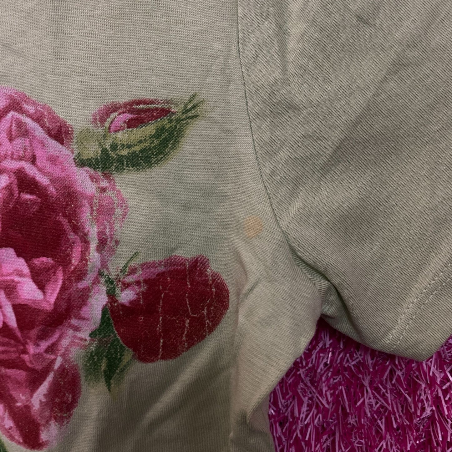 Pretty Rebel Rose Graphic Crop Top XS