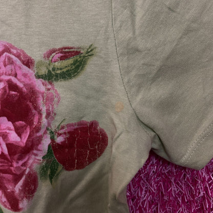 Pretty Rebel Rose Graphic Crop Top XS
