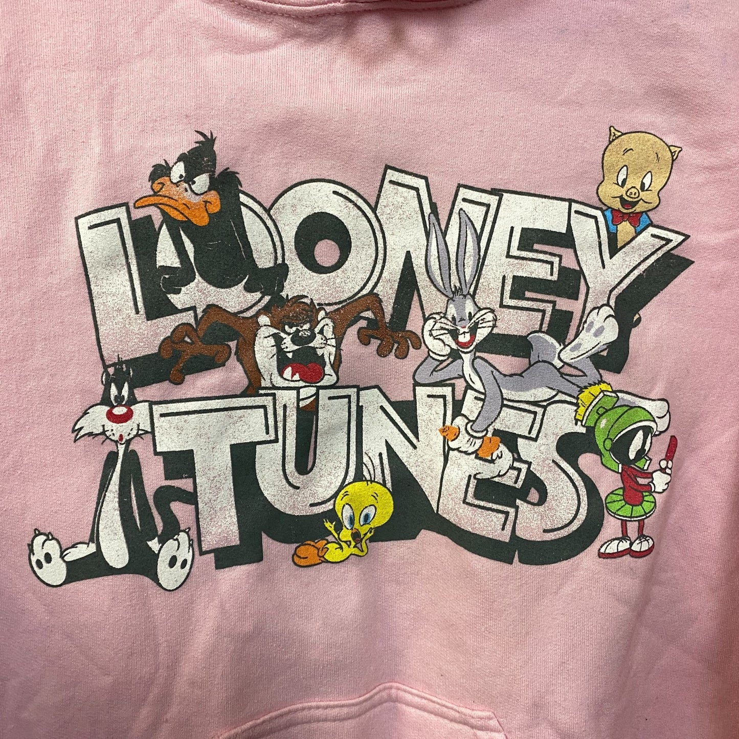 Looney Tunes That's All Folks Classic Cartoons Graphic Hoodie Small
