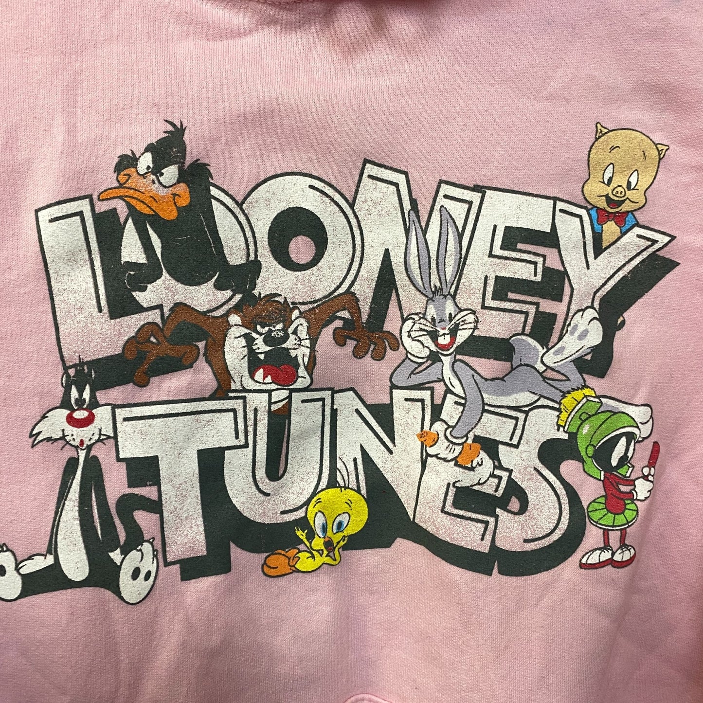 Looney Tunes That's All Folks Classic Cartoons Graphic Hoodie Small