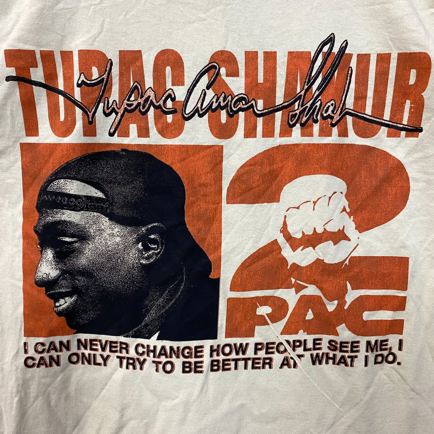 Tupac Never Change Heavyweight Graphic T-Shirt Small