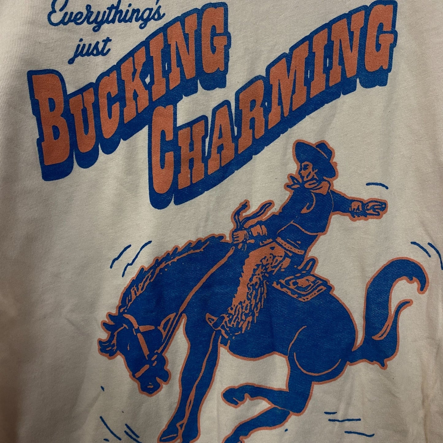 Junk Food Clothing Bucking Charming Vintage Style T-Shirt XS