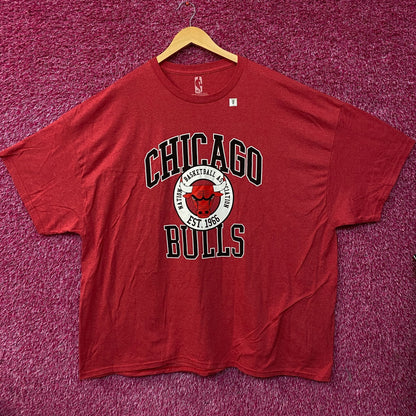 NBA Chicago Bulls Vintage Style Graphic T-Shirt size 4