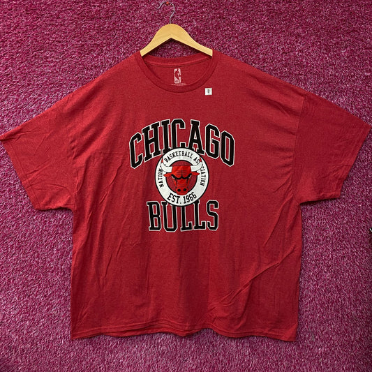NBA Chicago Bulls Vintage Style Graphic T-Shirt size 4
