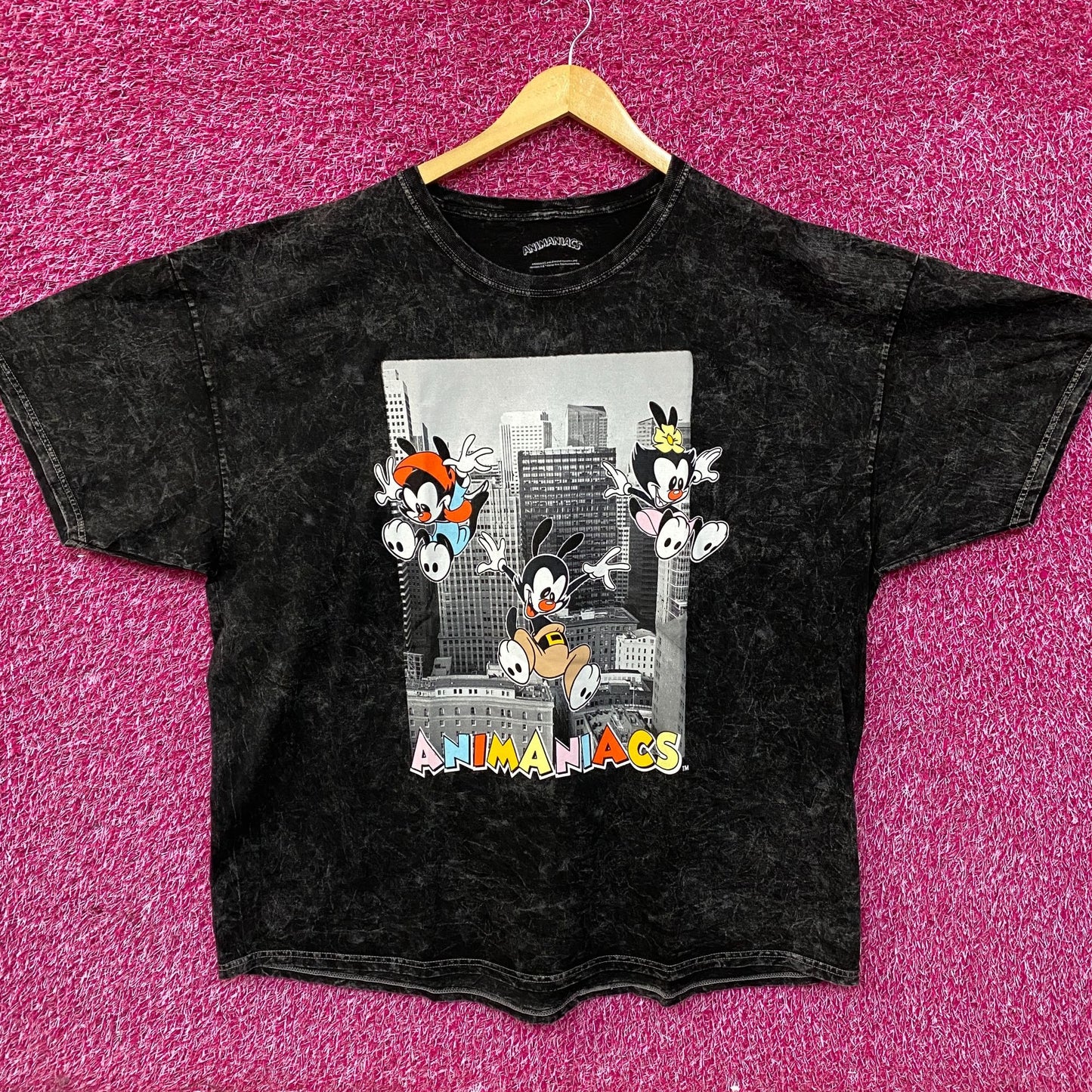 Animaniacs Cartoon City Graphic Mineral Wash T-Shirt XL