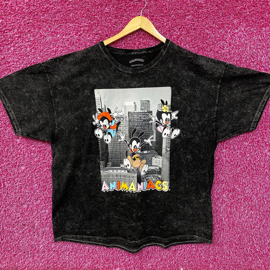 Animaniacs Cartoon City Graphic Mineral Wash T-Shirt XL