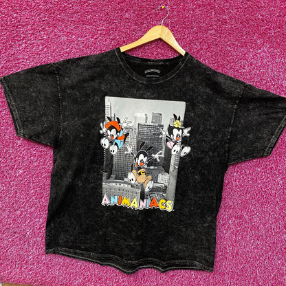 Animaniacs Cartoon City Graphic Mineral Wash T-Shirt XL