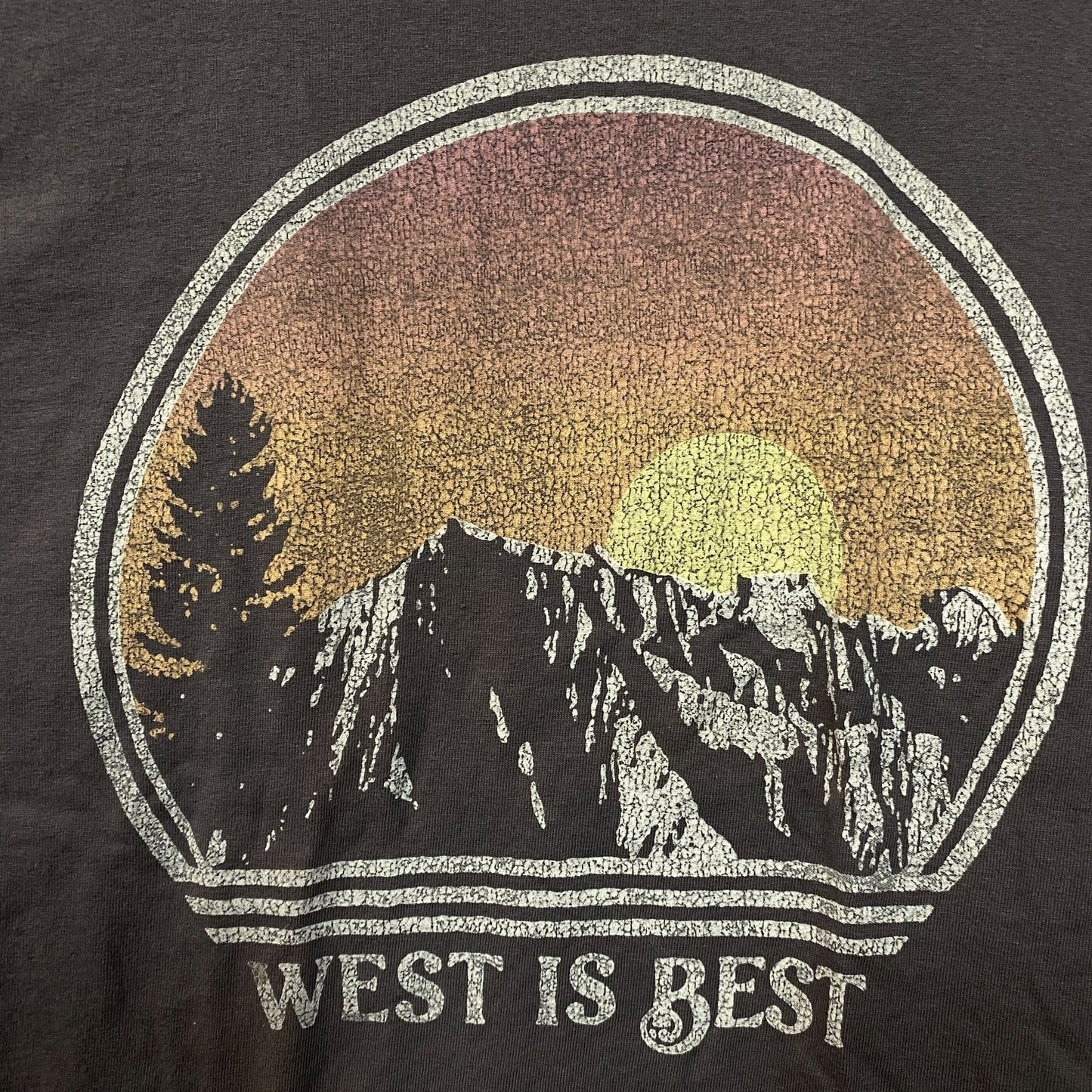 Junk Food West is Best Graphic T-Shirt Small