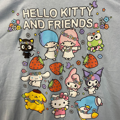 Sanrio Hello Kitty and Friends All Characters Kawaii T-Shirt  XL